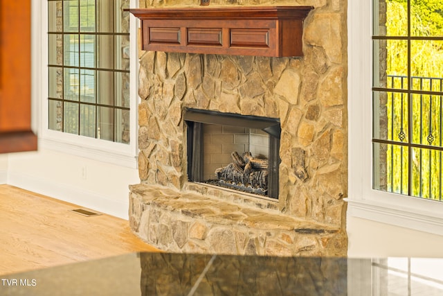 room details with wood-type flooring and a stone fireplace