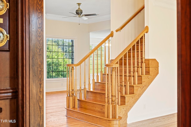 stairs with ceiling fan, hardwood / wood-style flooring, and ornamental molding