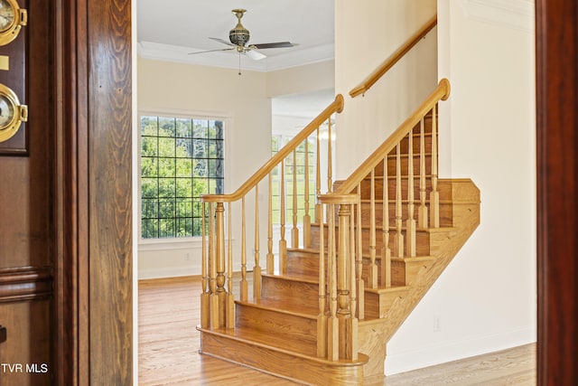107 Lake Harbor Dr, Johnson City, TN 37615 - photo 8