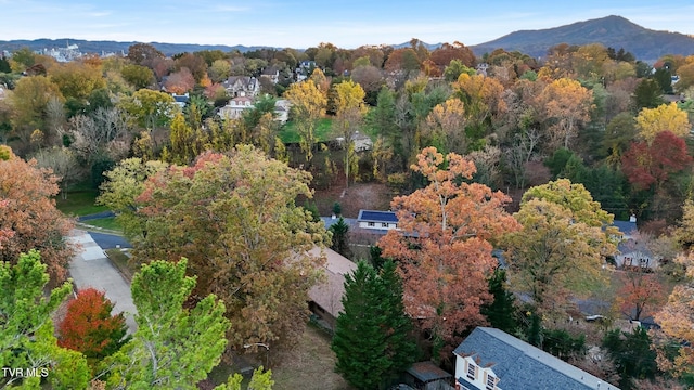 drone / aerial view featuring a mountain view