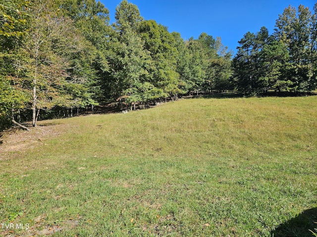 580 Heck Branch Rd, Rogersville TN, 37857 land for sale