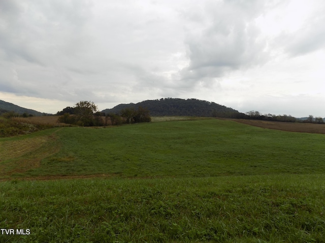 Listing photo 2 for TBD Cave Springs Rd, Rogersville TN 37857