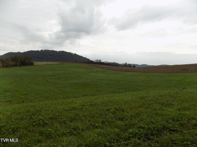 Listing photo 3 for TBD Cave Springs Rd, Rogersville TN 37857