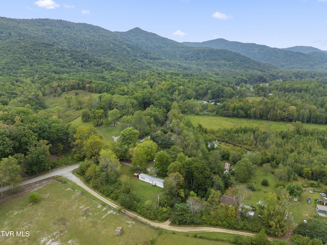 aerial view with a mountain view