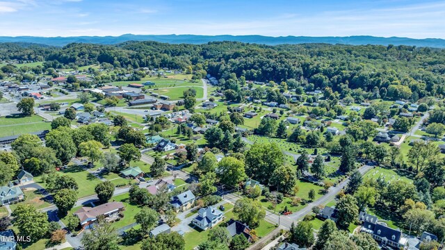 birds eye view of property with a mountain view