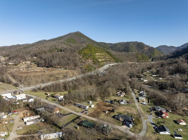 aerial view with a mountain view