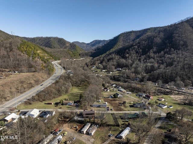 view of mountain feature