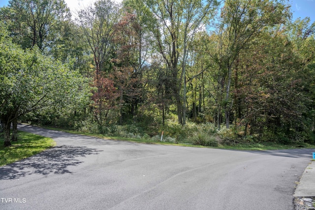 Listing photo 2 for LOT78-77 Forest Lodge Dr, Lebanon VA 24266