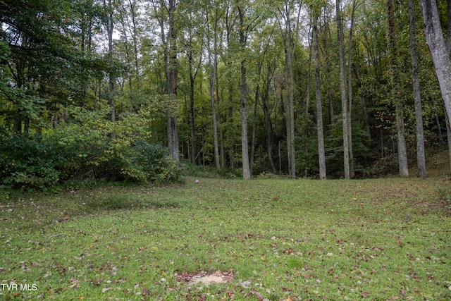 Listing photo 3 for LOT78-77 Forest Lodge Dr, Lebanon VA 24266