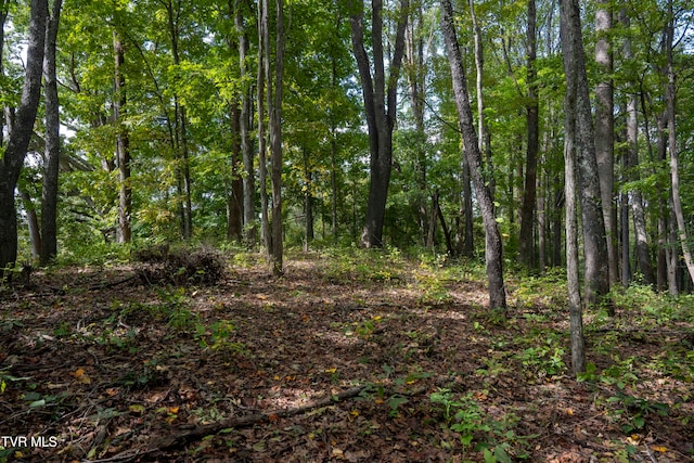 LOT69 Wood Land Cir, Lebanon VA, 24266 land for sale