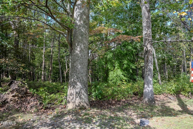 LOT68 Wood Land Cir, Lebanon VA, 24266 land for sale