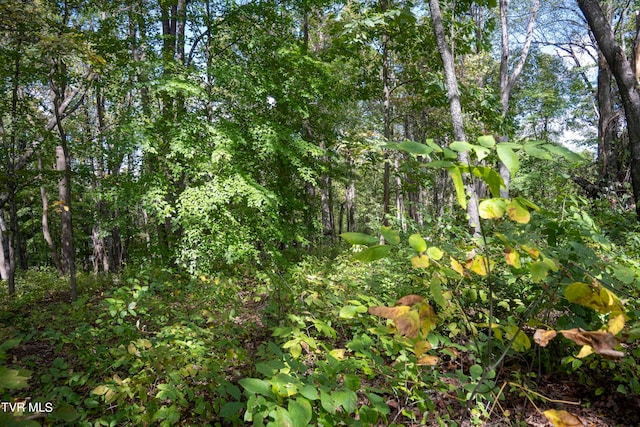 Listing photo 3 for LOT68 Wood Land Cir, Lebanon VA 24266