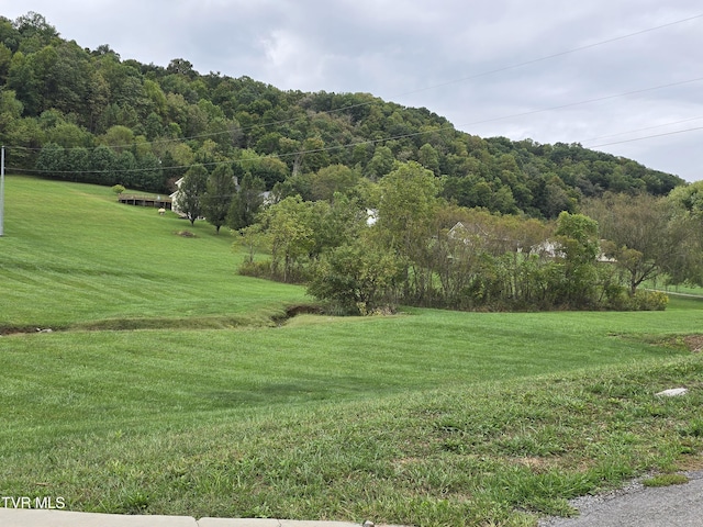 TBD Dishner Valley Rd, Bristol, VA 24202 - photo 5