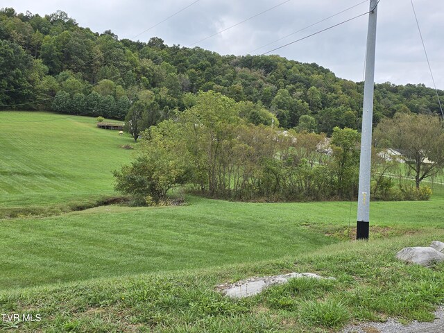 TBD Dishner Valley Rd, Bristol, VA 24202 - photo 6
