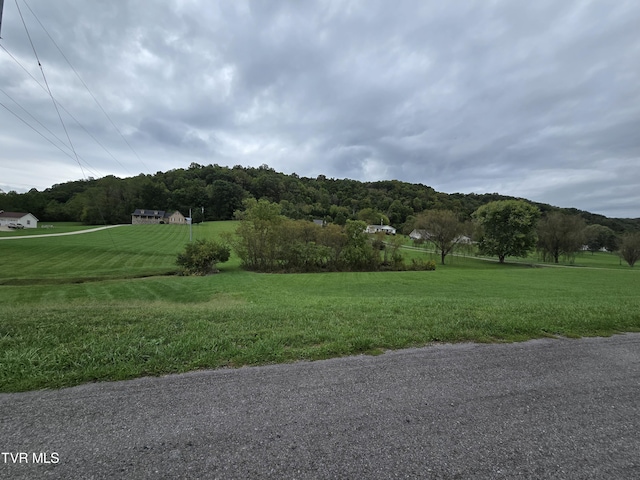 TBD Dishner Valley Rd, Bristol, VA 24202 - photo 7