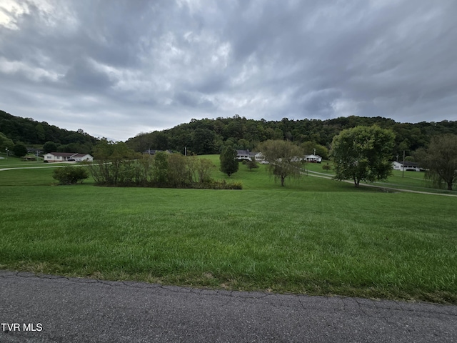 TBD Dishner Valley Rd, Bristol, VA 24202 - photo 8
