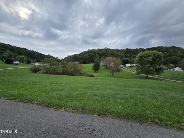 TBD Dishner Valley Rd, Bristol, VA 24202 - photo 9