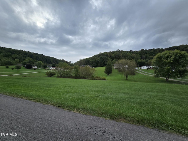 TBD Dishner Valley Rd, Bristol, VA 24202 - photo 10