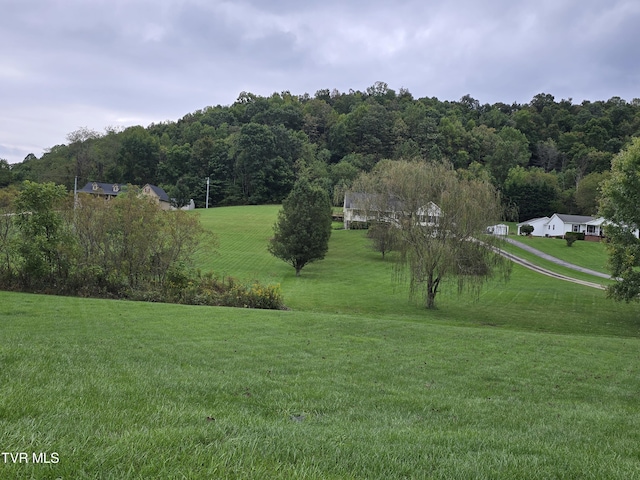TBD Dishner Valley Rd, Bristol, VA 24202 - photo 11