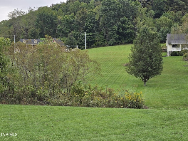 TBD Dishner Valley Rd, Bristol, VA 24202 - photo 13