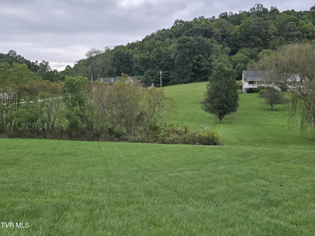 TBD Dishner Valley Rd, Bristol, VA 24202 - photo 14