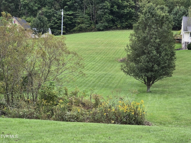 TBD Dishner Valley Rd, Bristol, VA 24202 - photo 15