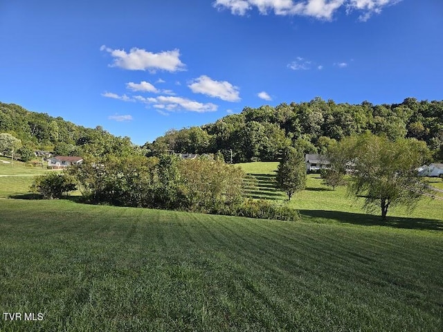 TBD Dishner Valley Rd, Bristol, VA 24202 - photo 2