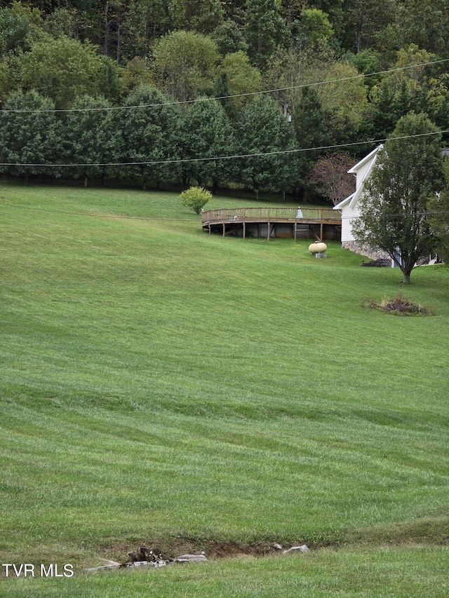 TBD Dishner Valley Rd, Bristol, VA 24202 - photo 3