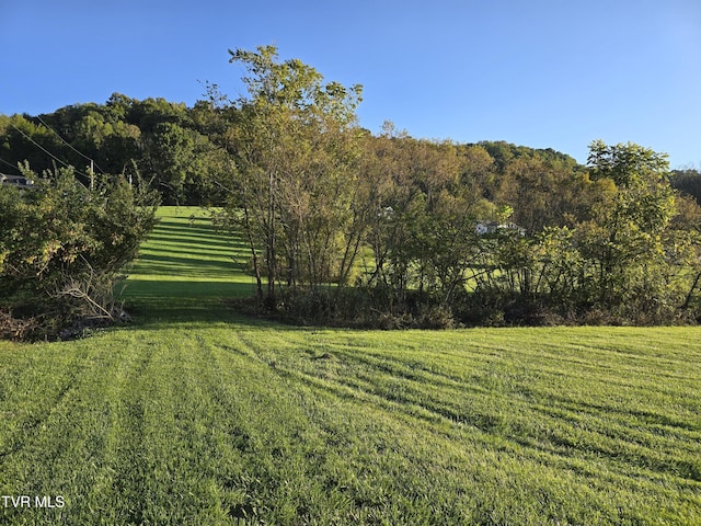 TBD Dishner Valley Rd, Bristol, VA 24202 - photo 1