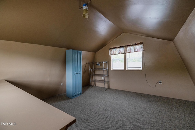 300 Wimberly Way, Bristol, TN 37620 - additional living space featuring carpet and vaulted ceiling