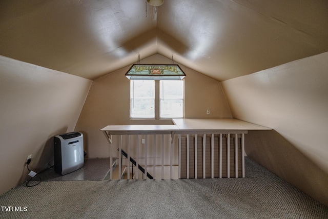 300 Wimberly Way, Bristol, TN 37620 - additional living space featuring carpet flooring and vaulted ceiling