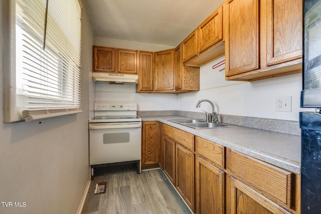 kitchen featuring light hardwood / wood-style flooring, white range with electric stovetop, and sink