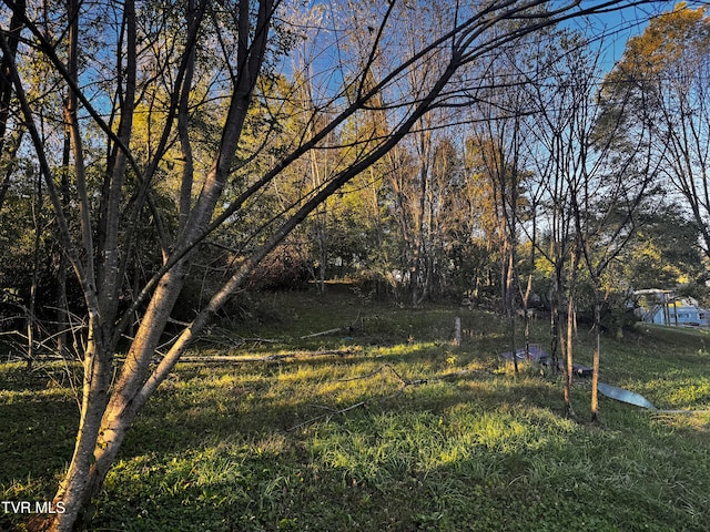 1244 Locust Grove Rd, Marion VA, 24354 land for sale