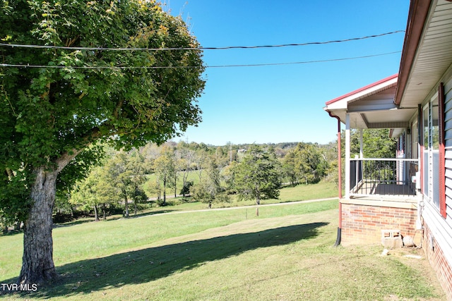 view of yard