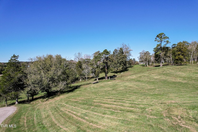 view of yard with a rural view