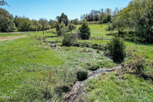 view of local wilderness