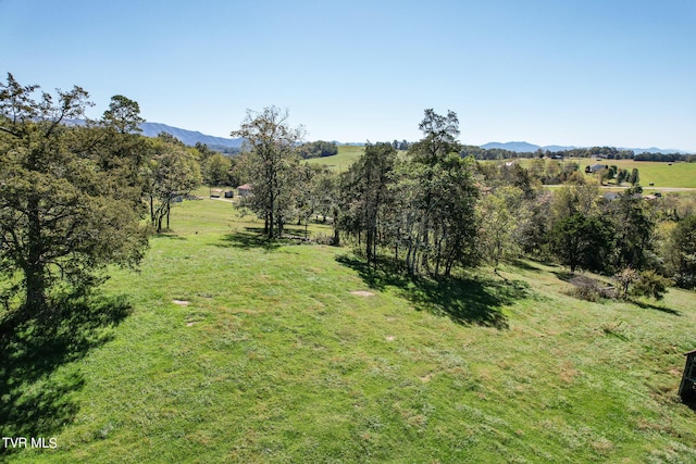 view of landscape with a rural view and a mountain view