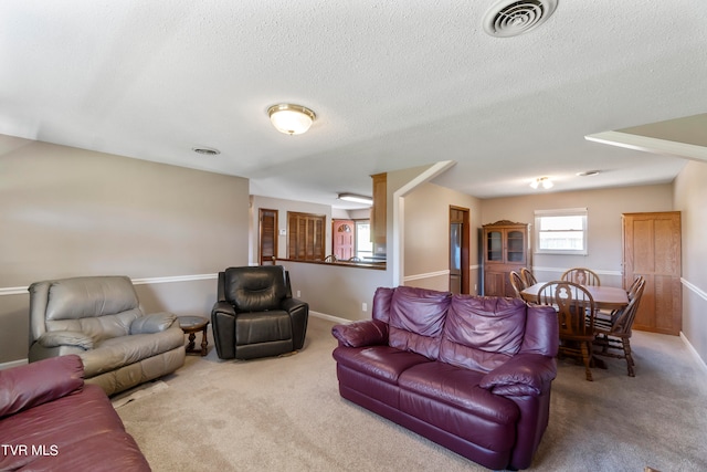 living room with carpet and a textured ceiling