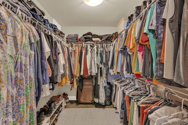 spacious closet with carpet