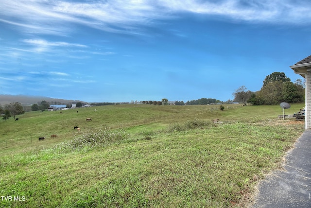 view of yard with a rural view