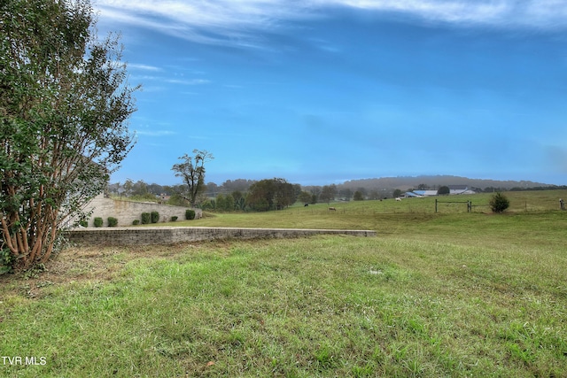 view of yard with a rural view