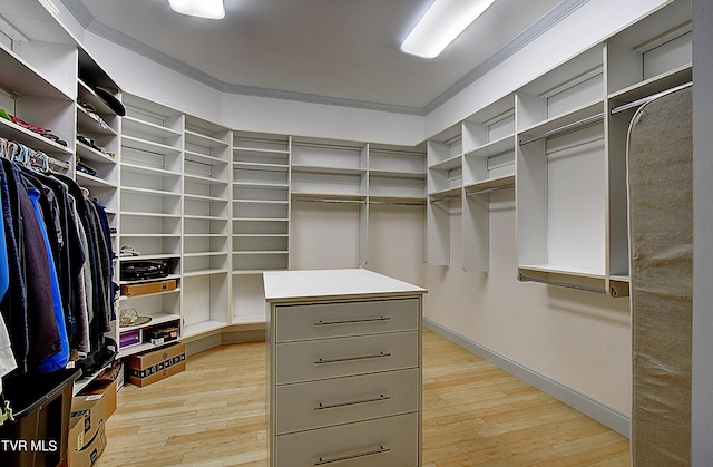 spacious closet with light wood-type flooring