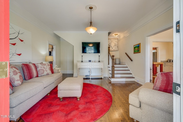 living room featuring crown molding and dark wood-type flooring