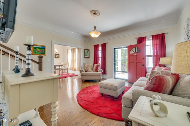 living room featuring wood-type flooring and ornamental molding