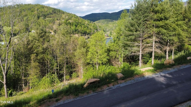 Listing photo 3 for LOT20 Cowan Town Rd, Butler TN 37640