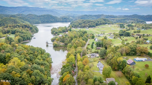 22088 Parks Mill Rd, Abingdon, VA 24211 - aerial view of a water and mountain view