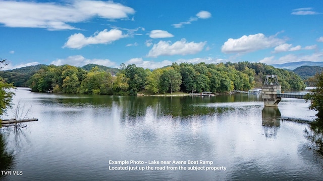 22088 Parks Mill Rd, Abingdon, VA 24211 - water view featuring a heavily wooded area