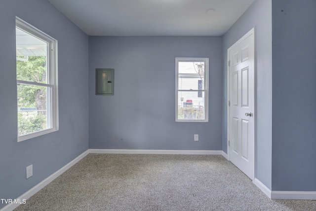 carpeted spare room featuring electric panel and a healthy amount of sunlight