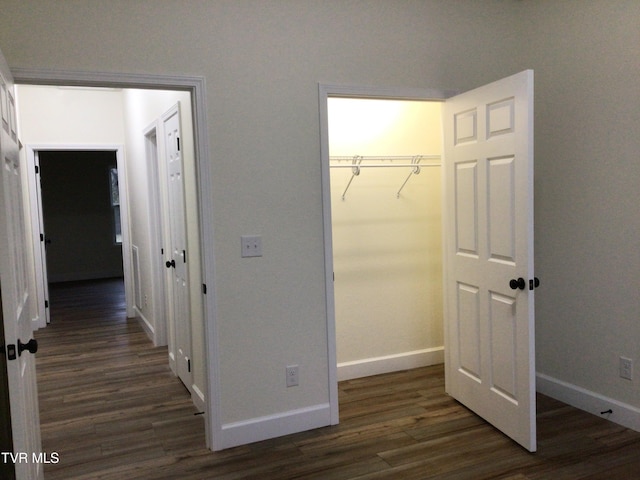 interior space featuring a walk in closet, dark wood-type flooring, and a closet