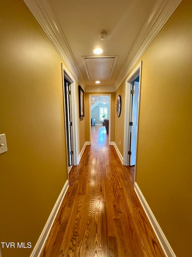 hallway with crown molding and wood-type flooring